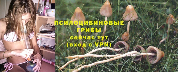 стафф Белоозёрский