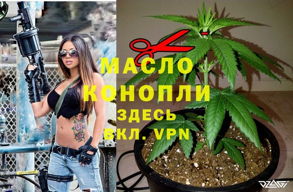 дживик Белокуриха