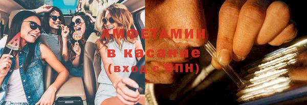 дживик Белокуриха