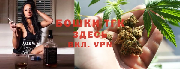 дживик Белокуриха